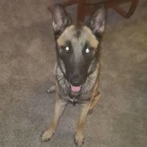 Meet your Posher, Kevin